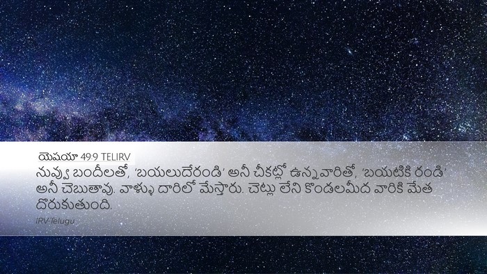 యెషయా 49:9 TELIRV Bible Verse Image