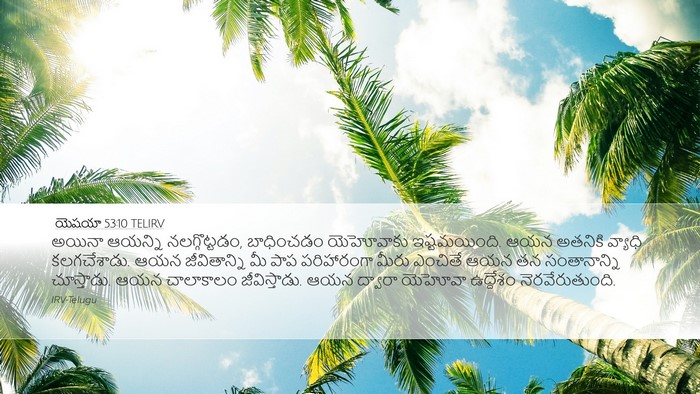 యెషయా 53:10 TELIRV Bible Verse Image