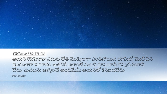 యెషయా 53:2 TELIRV Bible Verse Image
