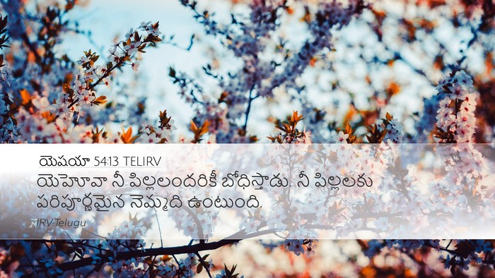 యెషయా 54:13 TELIRV Bible Verse Image