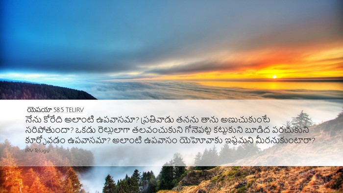 యెషయా 58:5 TELIRV Bible Verse Image