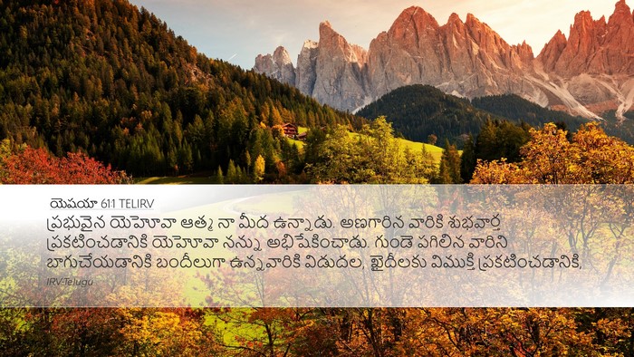 యెషయా 61:1 TELIRV Bible Verse Image