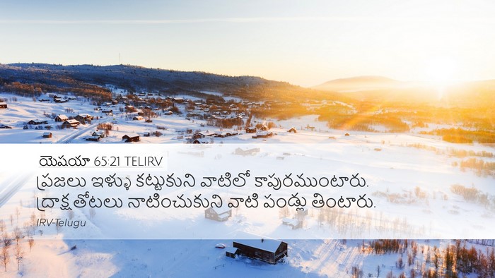 యెషయా 65:21 TELIRV Bible Verse Image