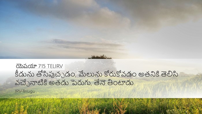 యెషయా 7:15 TELIRV Bible Verse Image