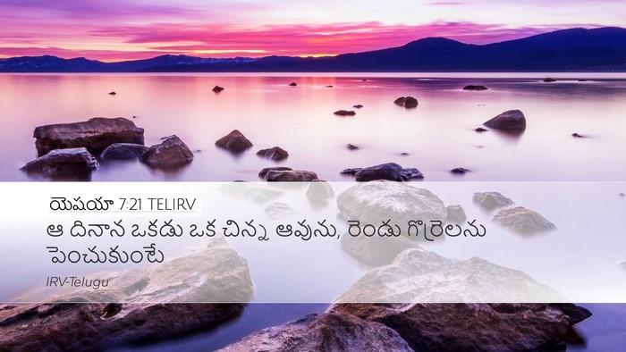యెషయా 7:21 TELIRV Bible Verse Image