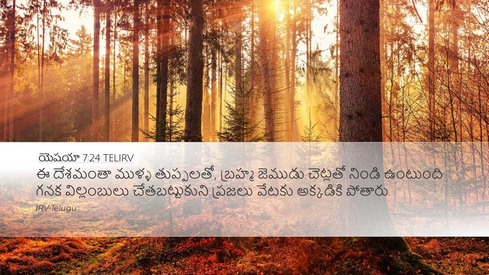 యెషయా 7:24 TELIRV Desktop Wallpaper - ఈ దేశమంతా ముళ్ళ - Desktop Bible Verse Wallpaper