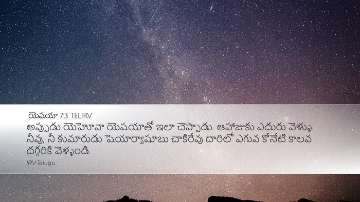 యెషయా 7:3 TELIRV Bible Verse Image