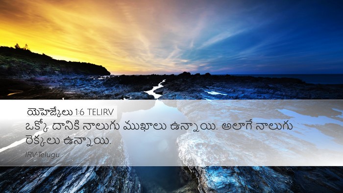 యెహెజ్కేలు 1:6 TELIRV Bible Verse Image