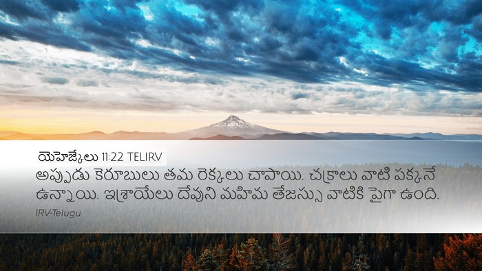 యెహెజ్కేలు 11:22 TELIRV Bible Verse Image