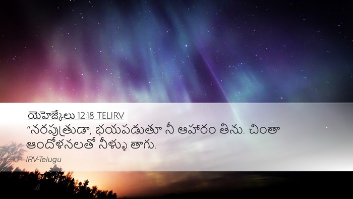 యెహెజ్కేలు 12:18 TELIRV Bible Verse Image
