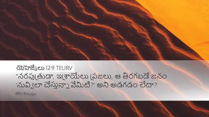 యెహెజ్కేలు 12:9 TELIRV Bible Verse Image