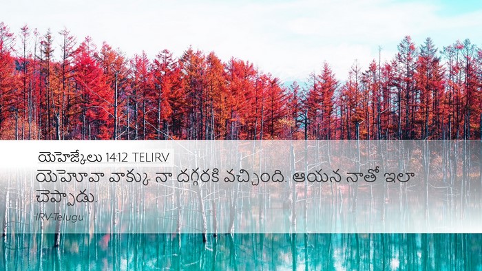 యెహెజ్కేలు 14:12 TELIRV Bible Verse Image
