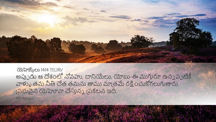 యెహెజ్కేలు 14:14 TELIRV Bible Verse Image