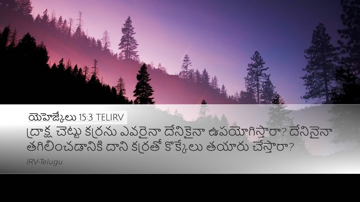 యెహెజ్కేలు 15:3 TELIRV Bible Verse Image