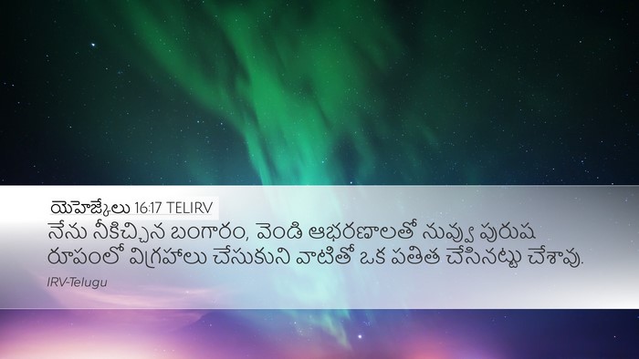 యెహెజ్కేలు 16:17 TELIRV Bible Verse Image