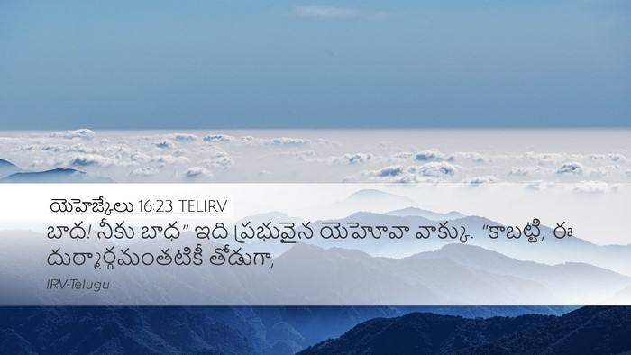 యెహెజ్కేలు 16:23 TELIRV Bible Verse Image