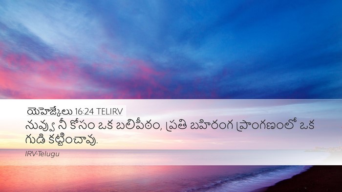 యెహెజ్కేలు 16:24 TELIRV Bible Verse Image