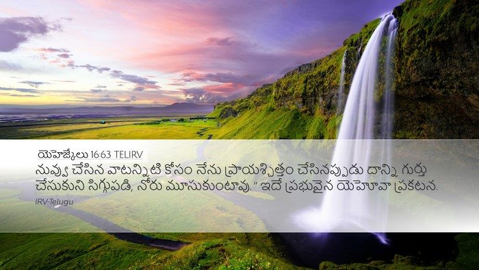 యెహెజ్కేలు 16:63 TELIRV Bible Verse Image