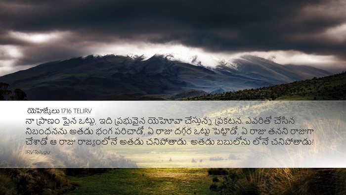 యెహెజ్కేలు 17:16 TELIRV Bible Verse Image