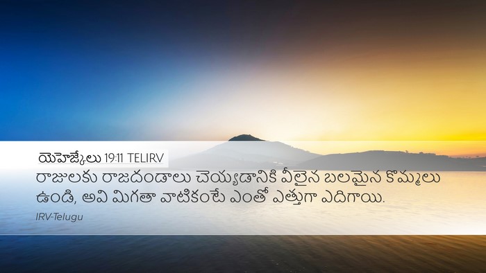 యెహెజ్కేలు 19:11 TELIRV Bible Verse Image