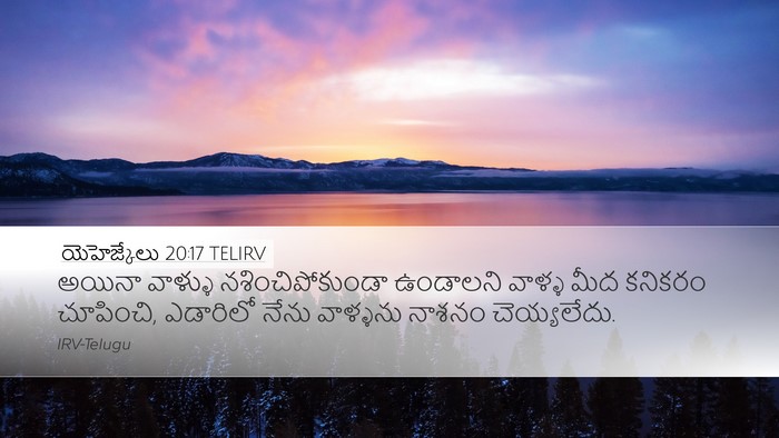 యెహెజ్కేలు 20:17 TELIRV Bible Verse Image