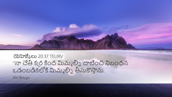 యెహెజ్కేలు 20:37 TELIRV Bible Verse Image