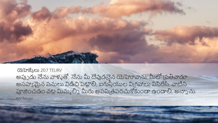 యెహెజ్కేలు 20:7 TELIRV Bible Verse Image