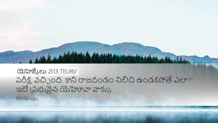 యెహెజ్కేలు 21:13 TELIRV Bible Verse Image