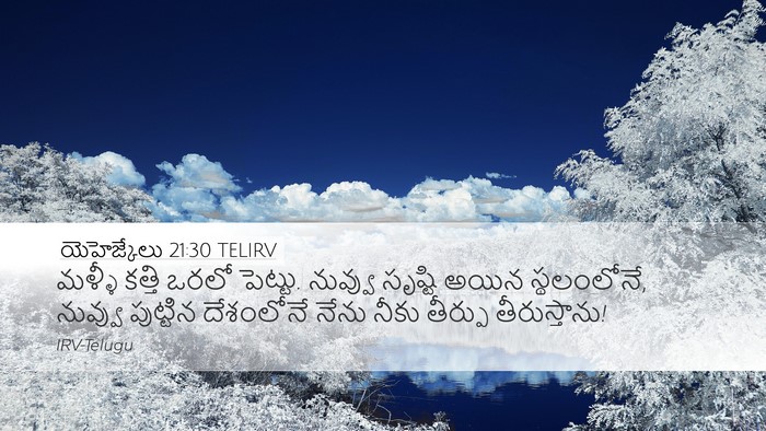 యెహెజ్కేలు 21:30 TELIRV Bible Verse Image