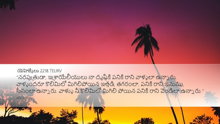యెహెజ్కేలు 22:18 TELIRV Bible Verse Image