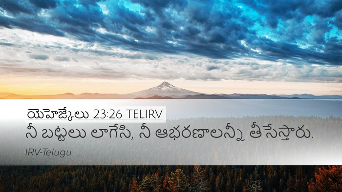 యెహెజ్కేలు 23:26 TELIRV Bible Verse Image