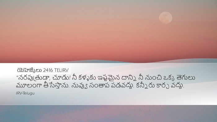 యెహెజ్కేలు 24:16 TELIRV Bible Verse Image
