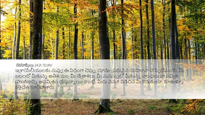 యెహెజ్కేలు 24:21 TELIRV Bible Verse Image