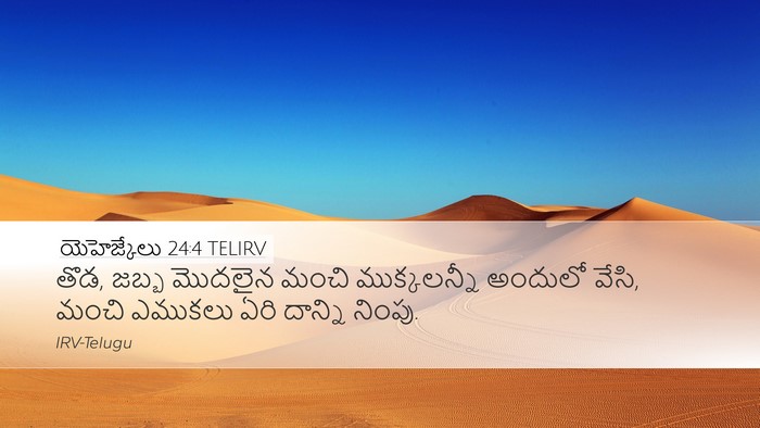 యెహెజ్కేలు 24:4 TELIRV Bible Verse Image