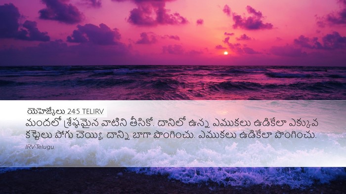 యెహెజ్కేలు 24:5 TELIRV Desktop Wallpaper - మందలో శ్రేష్ఠమైన - Desktop Bible Verse Wallpaper