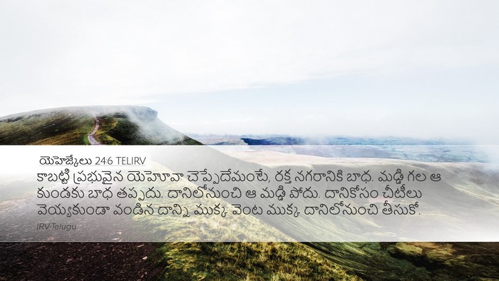 యెహెజ్కేలు 24:6 TELIRV Bible Verse Image
