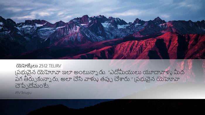 యెహెజ్కేలు 25:12 TELIRV Bible Verse Image