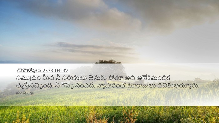 యెహెజ్కేలు 27:33 TELIRV Bible Verse Image
