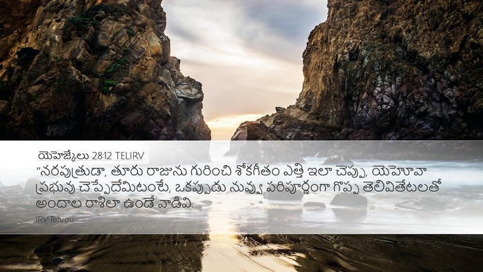 యెహెజ్కేలు 28:12 TELIRV Bible Verse Image