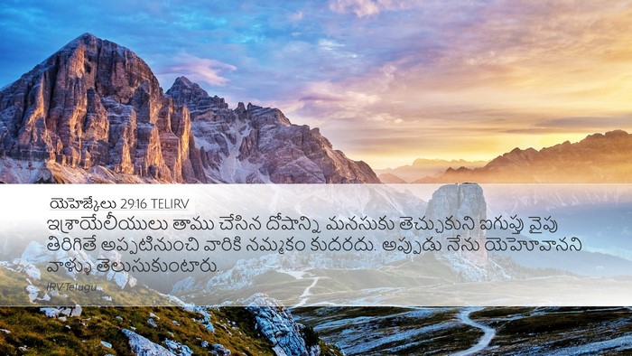 యెహెజ్కేలు 29:16 TELIRV Bible Verse Image