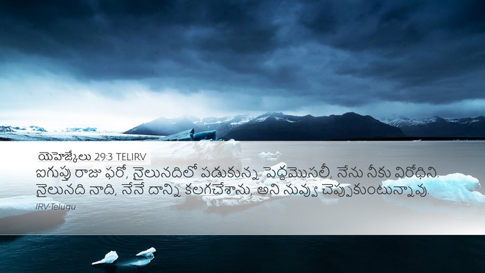 యెహెజ్కేలు 29:3 TELIRV Bible Verse Image
