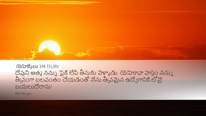 యెహెజ్కేలు 3:14 TELIRV Bible Verse Image