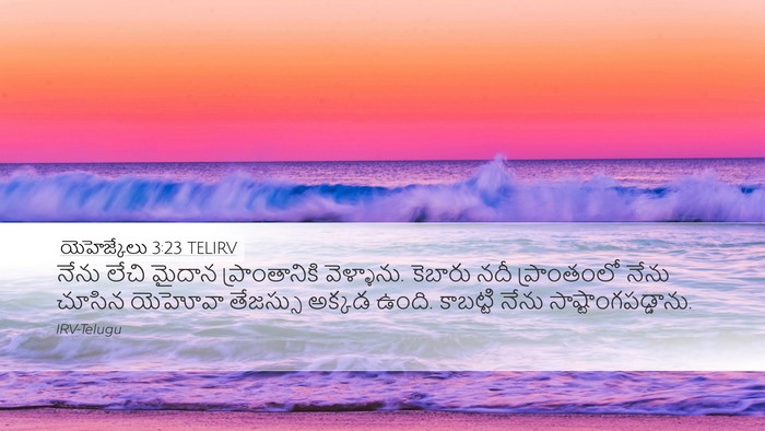 యెహెజ్కేలు 3:23 TELIRV Bible Verse Image