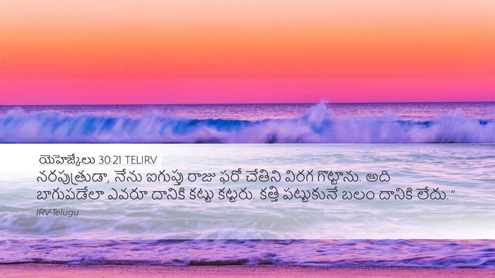 యెహెజ్కేలు 30:21 TELIRV Bible Verse Image