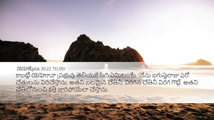 యెహెజ్కేలు 30:22 TELIRV Bible Verse Image