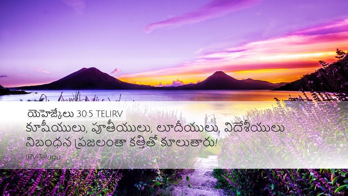 యెహెజ్కేలు 30:5 TELIRV Bible Verse Image