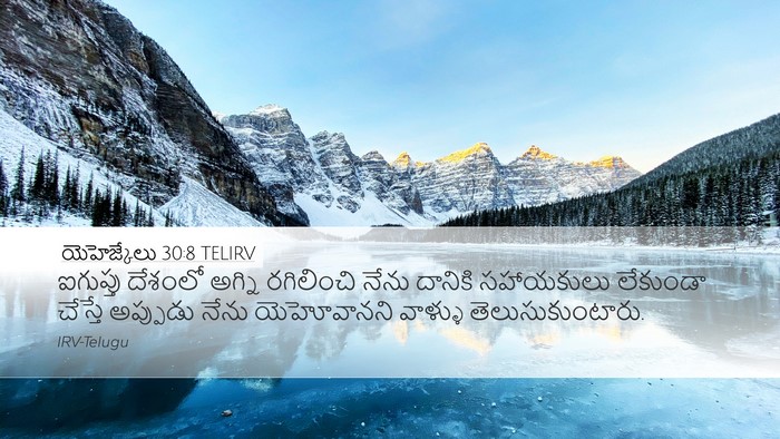 యెహెజ్కేలు 30:8 TELIRV Bible Verse Image