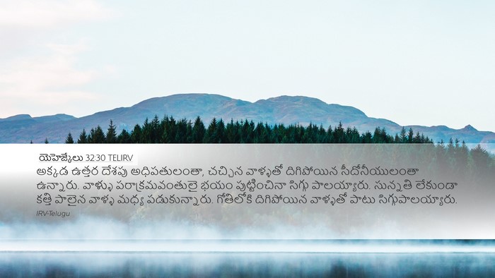 యెహెజ్కేలు 32:30 TELIRV Bible Verse Image