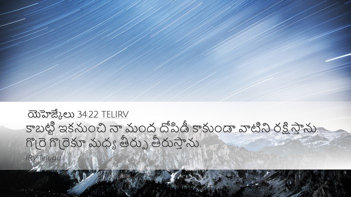 యెహెజ్కేలు 34:22 TELIRV Bible Verse Image