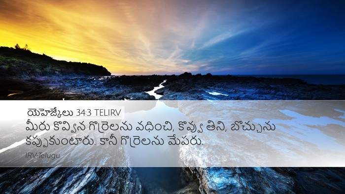 యెహెజ్కేలు 34:3 TELIRV Bible Verse Image
